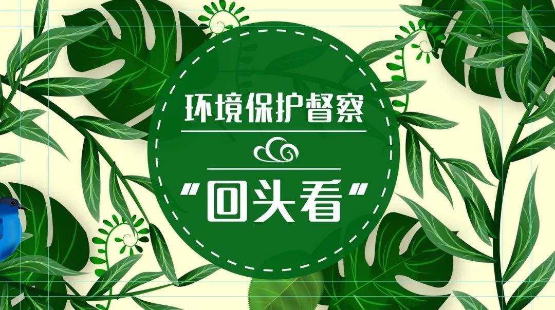 2019年第二輪環(huán)保督查：八項必查點！