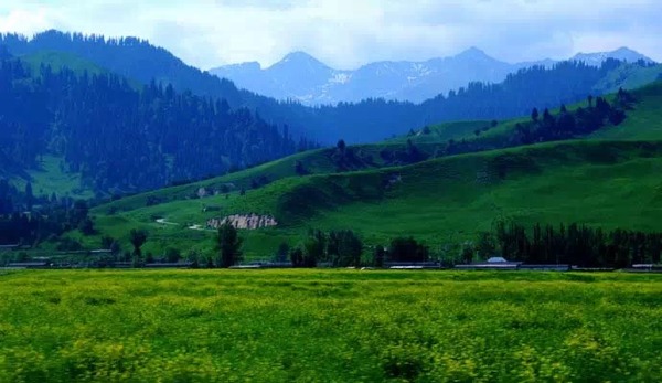 環(huán)境空氣 無機(jī)有害氣體的應(yīng)急監(jiān)測(cè) 便攜式傅里葉紅外儀法