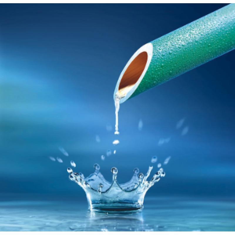 水質(zhì) 氯酸鹽、亞氯酸鹽、溴酸鹽、二氯乙酸和三氯乙酸的測定 離子色譜法